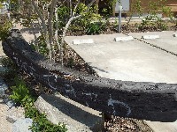 d0023346_23141426.jpg