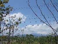 d0023346_2315137.jpg