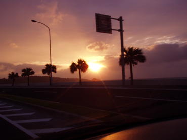 d0065247_2049819.jpg