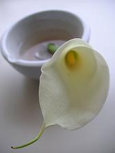 e0022948_22332272.jpg