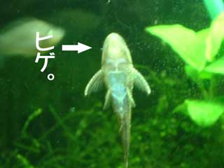 a0030054_22434850.jpg