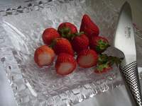 b0078765_0203686.jpg