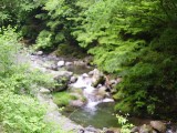 c0022767_20512269.jpg