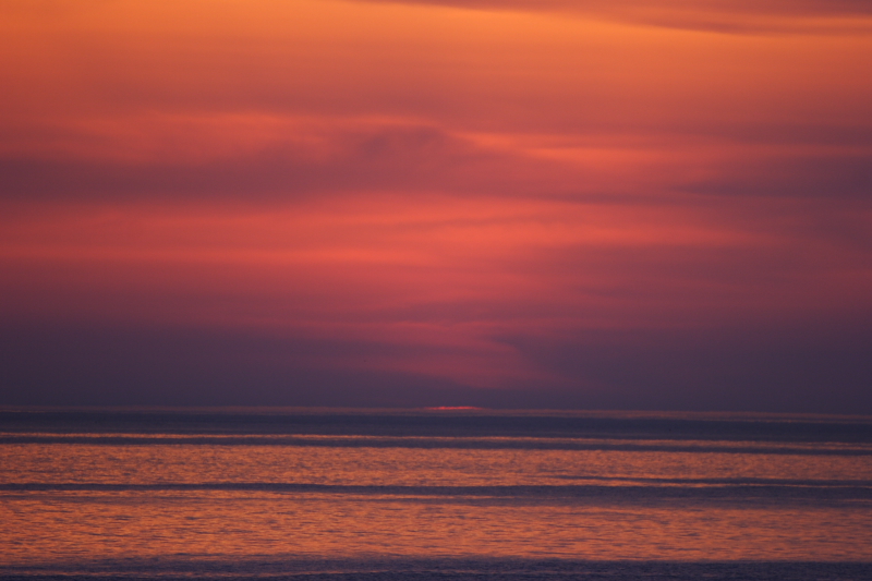 c0030874_633920.jpg