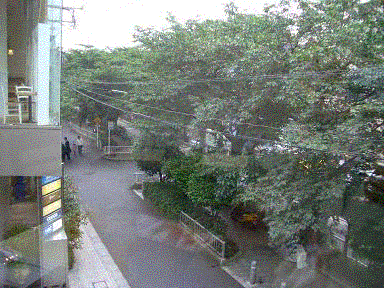 d0034082_0115997.gif