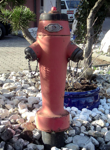 b0038588_20531084.jpg