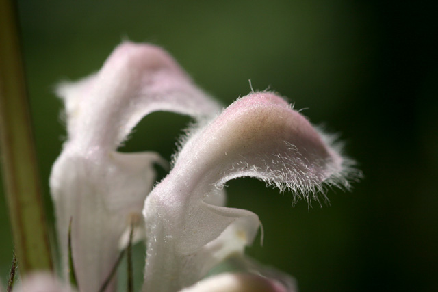 b0067789_21462757.jpg