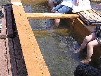 a0067991_1131571.jpg