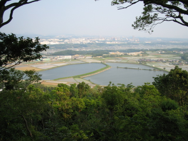 b0108100_1993751.jpg