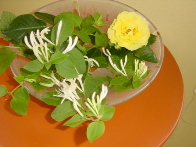 b0083902_1834962.jpg