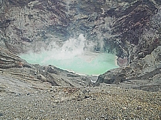 c0059103_4571625.jpg