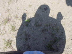 c0052304_1333499.jpg