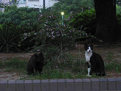 a0041508_20403460.jpg