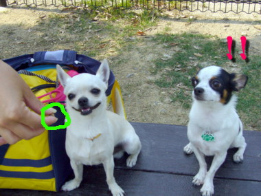 e0032508_20105269.jpg