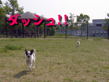 e0032508_202567.jpg