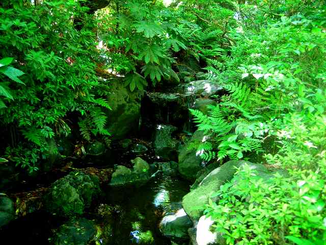 b0064411_14533625.jpg