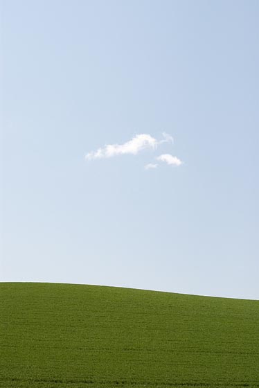 e0025030_1546424.jpg