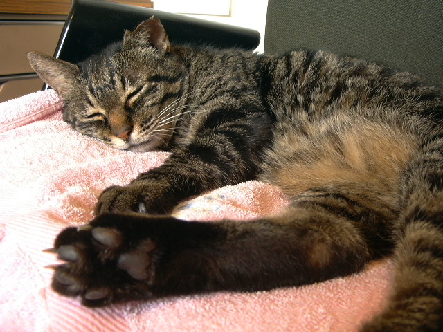 c0073633_11473640.jpg
