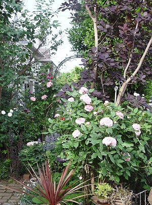 f0060535_2143014.jpg