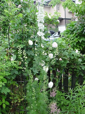 f0060535_216690.jpg