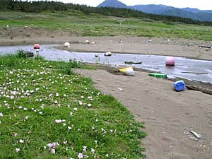 c0019338_851428.jpg