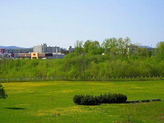 a0022041_14331566.jpg
