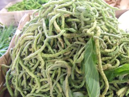 e0015343_12373740.jpg