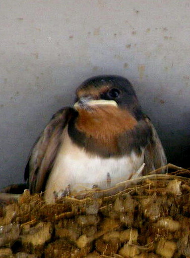 e0064158_2214556.jpg