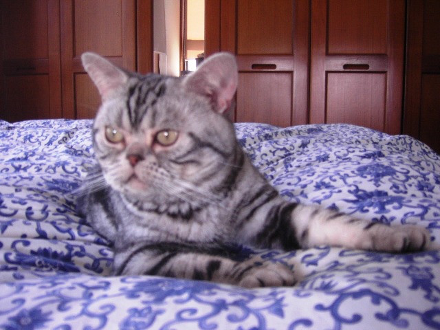 f0043859_13294021.jpg