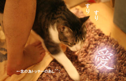 a0055567_003820.jpg