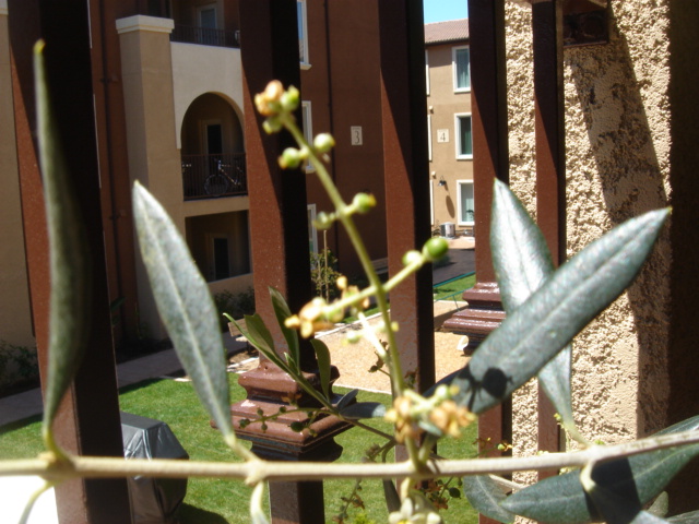 f0048168_713081.jpg