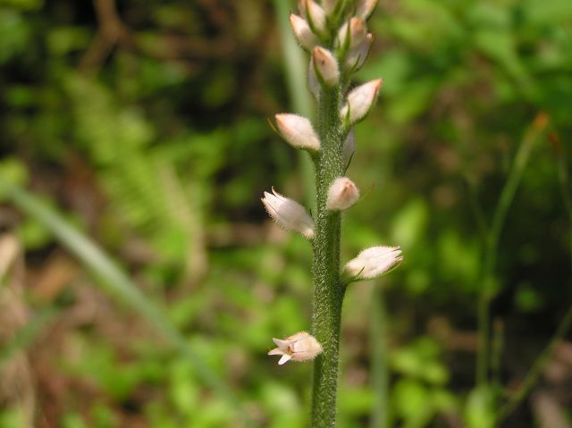 c0042869_2049163.jpg