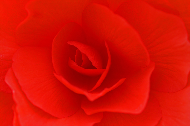 e0002371_21305764.jpg