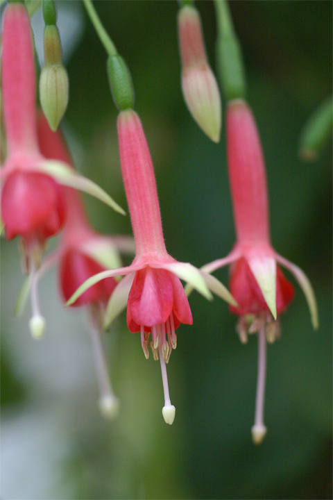 e0002371_21313256.jpg