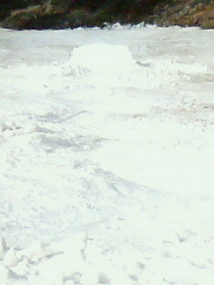 e0039871_22145846.jpg
