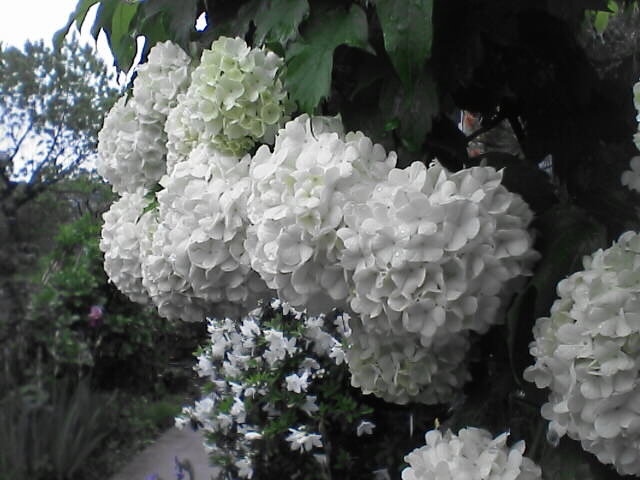 c0069380_12582351.jpg