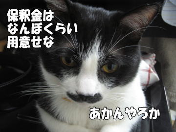 b0041182_1111793.jpg