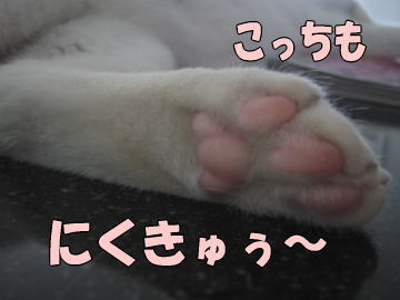 b0041182_17451156.jpg