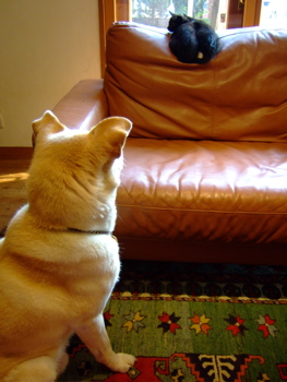 f0001698_201053.jpg
