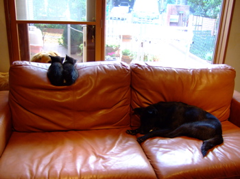 f0001698_211883.jpg