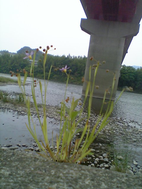 f0097101_183852100.jpg