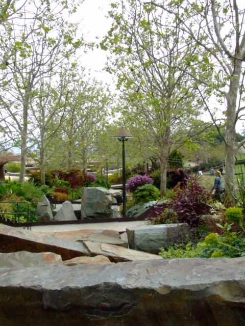 c0062603_1433476.jpg