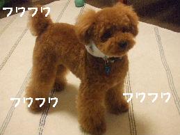 a0007906_901220.jpg