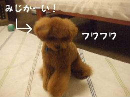 a0007906_914647.jpg