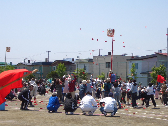 d0050007_22173691.jpg