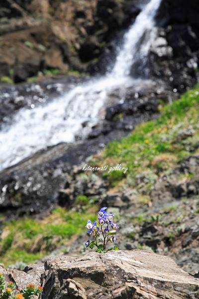 c0073613_32869.jpg