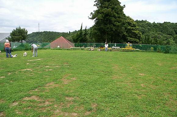 f0014815_20301751.jpg