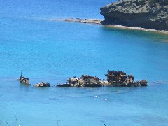 c0000816_1244052.jpg
