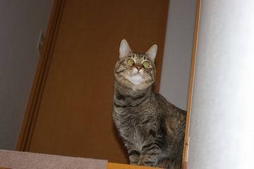 a0027720_14405137.jpg