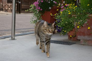 a0027720_14423818.jpg